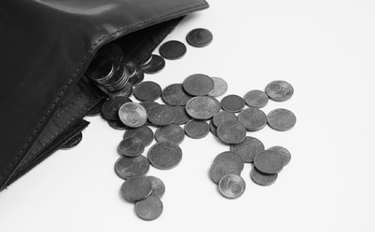 Interpretation of section 1959.1 on the renter’s income  