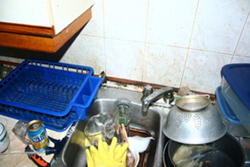 As a gift, the owner receives a nauseous hotchpotch