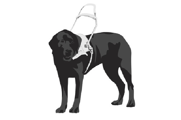 PET THERAPY IS RECOGNIZED AS A DEFENCE AGAINST CERTAIN CONDITIONS BY THE COURTS