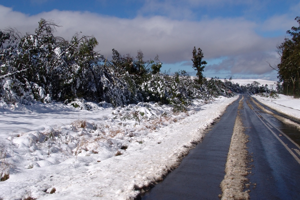 Precautions to be taken before signing a contract for snow removal