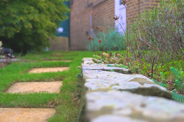 Newspaper APQ Spring 2025