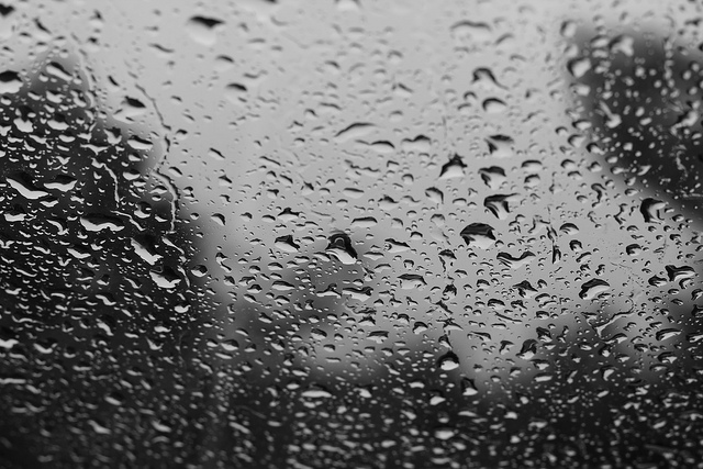 Flow of rainwater to a nearby lot: the Syndicate of co-ownership is sentenced in part for the damage caused