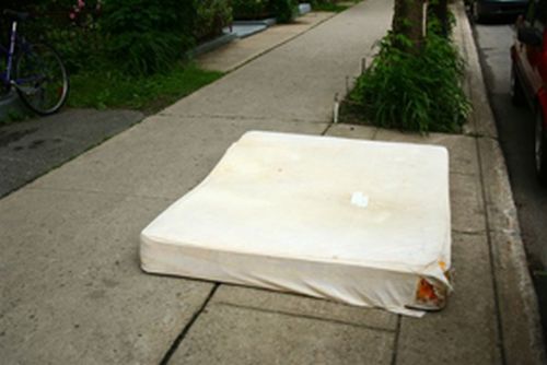 Bed bugs : What to do to avoid them?