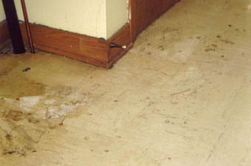 When tenants try to “pull the wool over the eyes” of their landlords